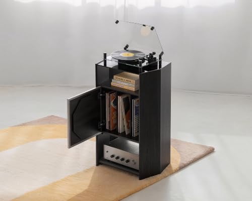 FITUEYES Picasso 4-Tier Record Player Stand with Album Display and Vinyl Record Storage, Black