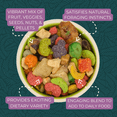 thumbnail image 3 of Zupreem Pure Fun Bird Food For Medium Bird Breeds 907g Resealable Bag, 3 of 6