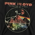 thumbnail image 2 of Floyd Vintage Pyramids Unisex Adult Pull-Over Hoodie, 2 of 5