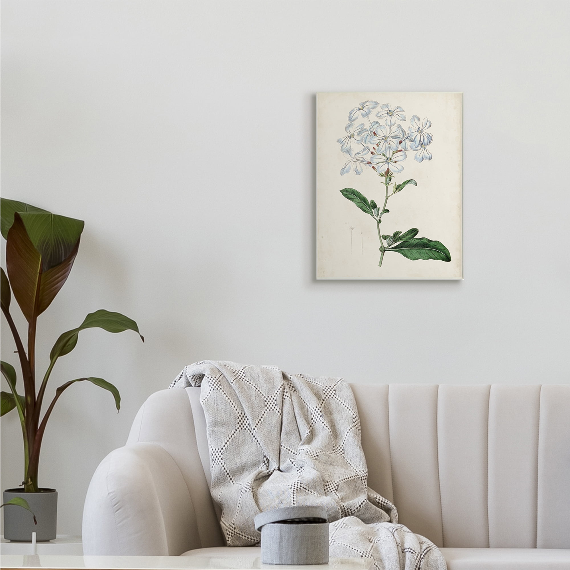 Rustic Garden Floral Study Charming White Blossoms 13 in x 19 in Framed Painting Art Print, by Stupell Home Décor