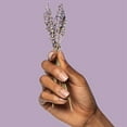 thumbnail image 3 of Poo Pourri Vanille de Lavan 2 oz, 3 of 6