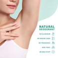 thumbnail image 3 of Desodorante natural Stick Up para mujeres y hombres con polvo de arcilla bentonita, arrurruz, magnesio y zinc, 85 g. Desodorante vegano para 3-4 meses, lavanda blanca - Primal Life Organics, 3 of 5