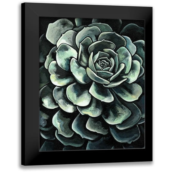Meagher, Megan 12x14 Black Modern Framed Museum Art Print Titled - Printed Lunar Succulent II