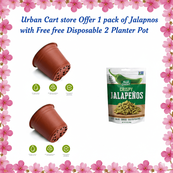 (1 pack ) Fresh Gourmet Crispy Jalapenos, Salads Toppings,( With Disposable Planter 2 Pot ) Urban Car Gift Pack