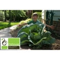 thumbnail image 2 of Fishnure Organic Humus Compost, 2 of 3