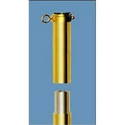 Annin Flagmakers 555353 94G 9 ft. X 1-.25 in. Gold Aluminum Flagpole