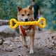 thumbnail image 5 of Juguete indestructible para perros, duradero, para la dentición de cachorros, hueso masticable seguro y duradero para perros grandes, juguetes interactivos para perros (amarillo), 5 of 5