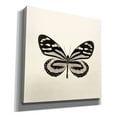 thumbnail image 2 of Epic Graffiti 'Butterfly VIII B&W' by Debra Van Swearingen, Canvas Wall Art, 26"x26", 2 of 6