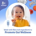 thumbnail image 3 of GERBER Triple Goodness Raspberry Yogurt Baby Cereal, 8 Months+, For Gut Wellness, 3 of 9