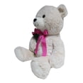 thumbnail image 4 of Jumbo Bear with Flower Plush, Cream, 26", Mother's Day by Way To Celebrate, 4 of 5