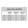 thumbnail image 5 of Real Essentials Men's Big & Tall 3-Pack Dry Fit & Mesh Active Athletic Perfomance Shorts (3X-5X), 5 of 5
