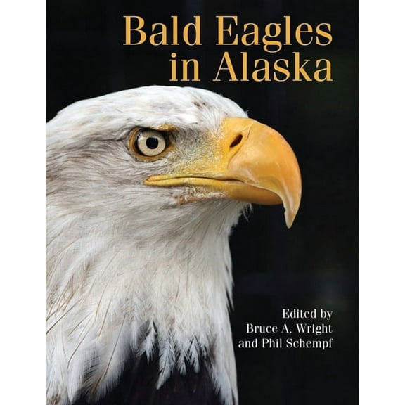 Bald Eagles in Alaska (Paperback)