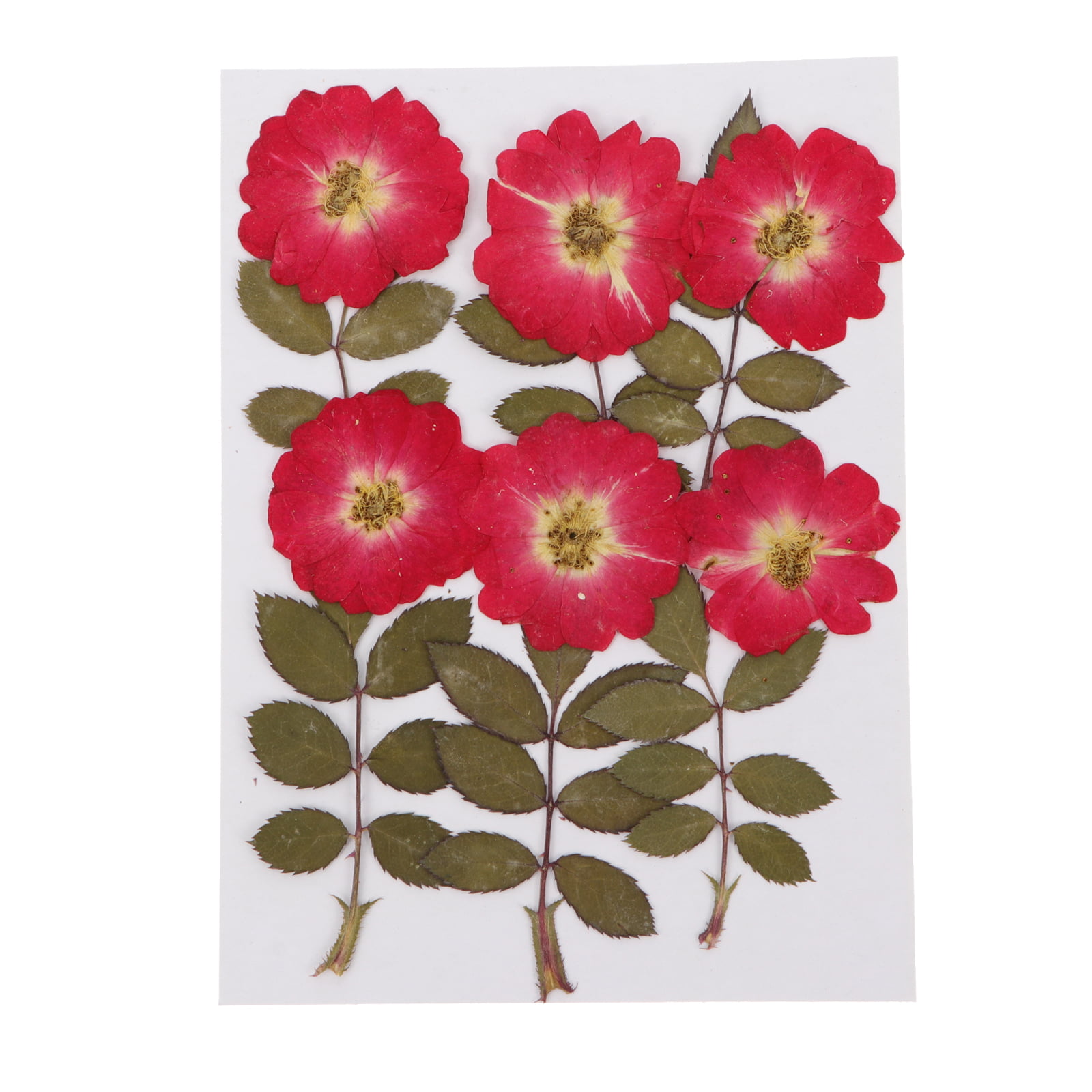 80pcs White Pink Rose Flower Nail Charms Valentines Nail Art