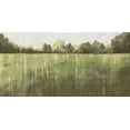 thumbnail image 2 of Wilde, Susan 18x11 White Modern Wood Framed Museum Art Print Titled - Green Field III, 2 of 4