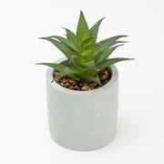 Mainstays 3-Piece Succulent Set in Gray Cement Planters