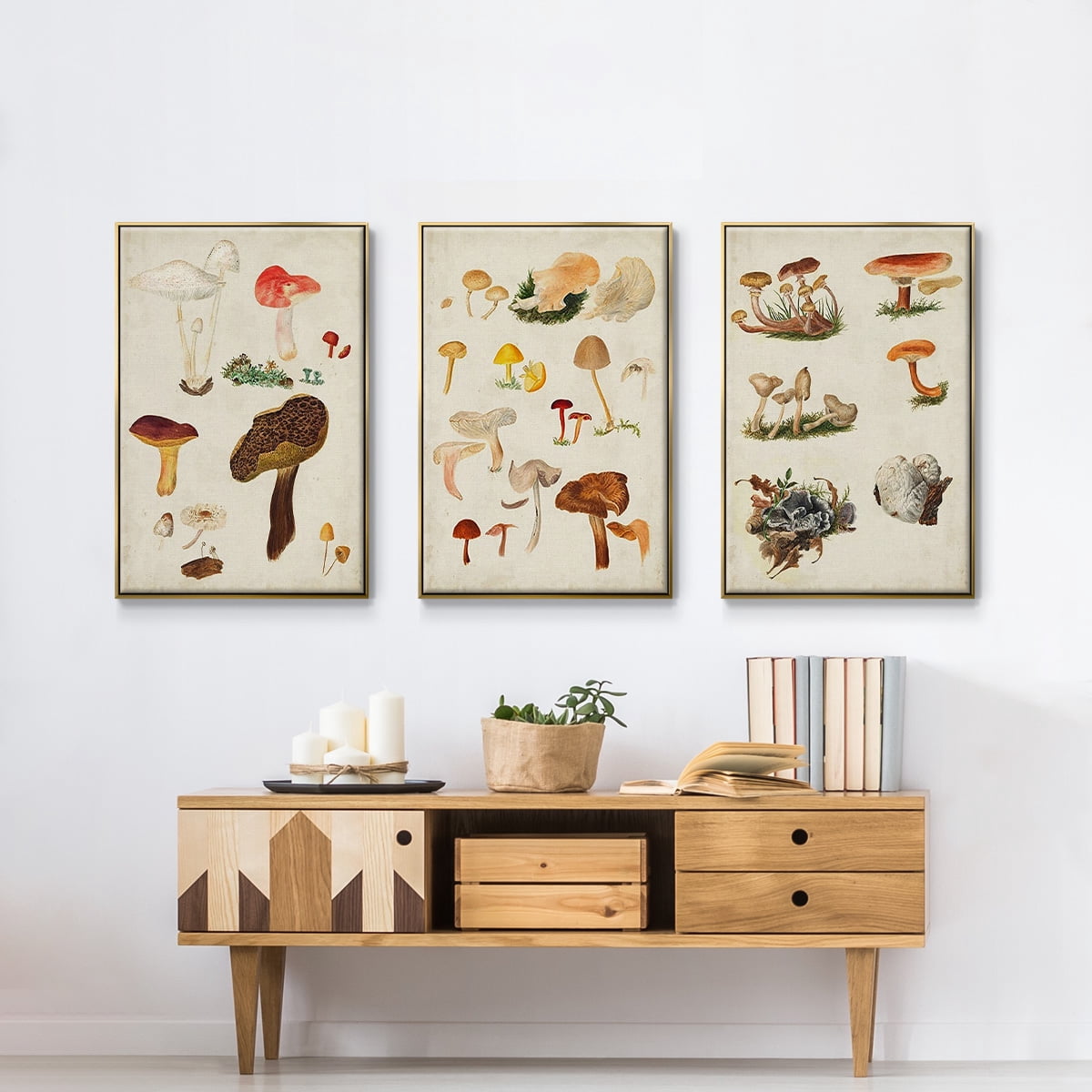 Mushroom Species X - Framed Premium Gallery Wrapped Canvas L Frame 3 Piece Set - Ready to Hang