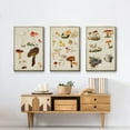 thumbnail image 6 of Mushroom Species X - Framed Premium Gallery Wrapped Canvas L Frame 3 Piece Set - Ready to Hang, 6 of 9