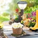 thumbnail image 3 of Solar Garden Statue Lights, Resin Cat Statues, Garden Cat Sculpture, Solar Statue Lamps Squirrel Model Night Light for Garden Patio Yard Lawn Outdoor, 3 of 5