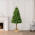thumbnail image 3 of 6 ft. Topiary Alpine Artificial Christmas Tree in Burlap Sac, 3 of 5