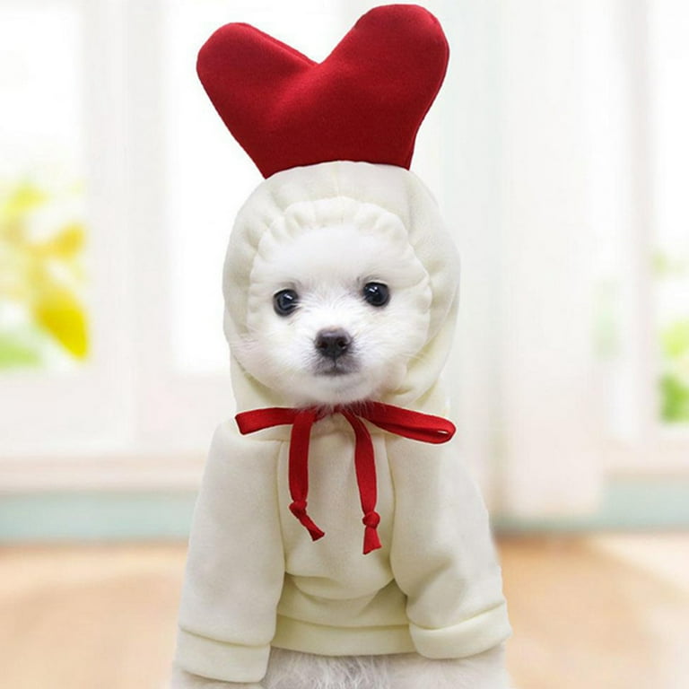 Cold weather hot sale clothes for dogs