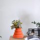 thumbnail image 5 of Jarrón decorativo vidriado imitación de plástico | Acento de hogar moderno para la sala de estar | Maceta de arreglo floral | Decoración de mesa duradera | Blanco marino naranja | 16x15x6.8cm, 5 of 5