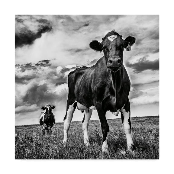 Trademark Fine Art 'Waiting BW Crop' Canvas Art by Aledanda