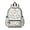 Dinosaur and Silhouette, variant on Dinosaur and Star White Pattern Backpack for School, Cute School Bag with Adjustable Shoulder Straps and Padded Back, 13.4"x11"x4.7"