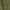 Olive Drab Green, variant on Sport-Tek Men's Digi Camo T-Shirt - ST460
