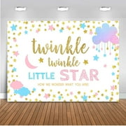 Twinkle Star Gender Reveal Decoration, Boy or Girl Gender Reveal Backdrop, Twinkle Twinkle Little Star Banner Supplies