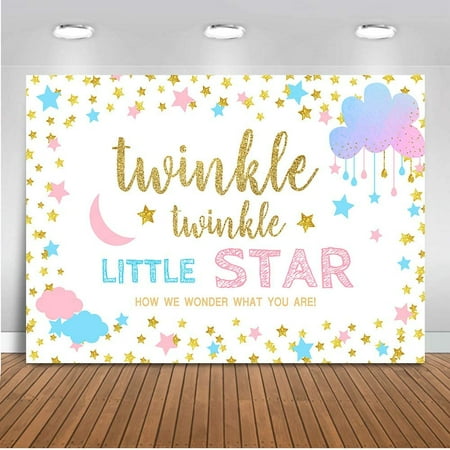 Twinkle Star Gender Reveal Decoration, Boy or Girl Gender Reveal Backdrop, Twinkle Twinkle Little Star Banner Supplies