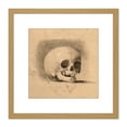thumbnail image 1 of Landseer Human Skull Anatomy Front View Drawing 8X8 Inch Square Wooden Framed Wall Art Print Picture with Mount, 1 of 4