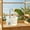 White, variant on Automatic Circulating Water Bird Bath Shower Box Parrot Bath Tub Running Birdbath for Parrots Budgie Plumage Clean Cage Supplies