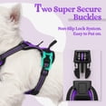 thumbnail image 3 of Arnés para perros Rabbitgoo, sin tirones, ajustable, morado, para perros XS, 3 of 8