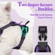thumbnail image 3 of Arnés para perros Rabbitgoo, sin tirones, ajustable, morado, para perros XS, 3 of 8