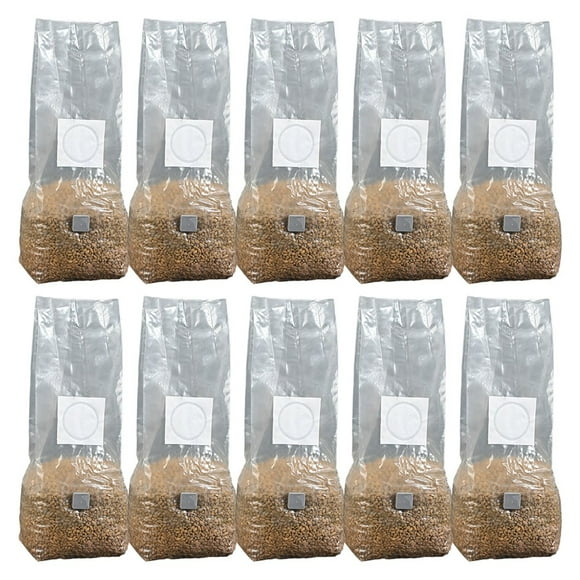 Feimier 10 x High Yield Mushroom Grow Bags: Multiple sizes to suit all setups Only bags