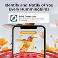 thumbnail image 2 of TT Nature Smart Hummingbird Feeder with Camera, Solar Powered, AI Bird Identification, Cloud Storage, Instant App Alerts, CCPA Compliant, Outdoor Hanging Feeder, 20 oz, 2 of 7