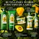 thumbnail image 5 of Shampoo Herbal Essences para cabello seco Nutre e Hidrata Pequi & Aguacate sin sal 400 ml, 5 of 6