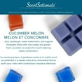 thumbnail image 4 of Cubes de cire parfumée ScentSationals - Concombre Melon, 4 of 4
