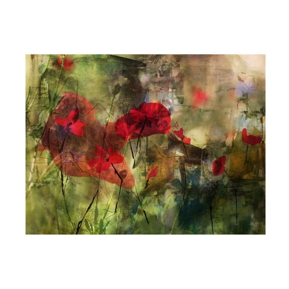 Trademark Fine Art Ellen van Deelen Poppies Canvas Wall Art