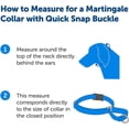 thumbnail image 3 of czcpp-Martingale Collier avec Boucle à Pression Rapide, 1 Pouces Moyen, Framboise, 3 of 4