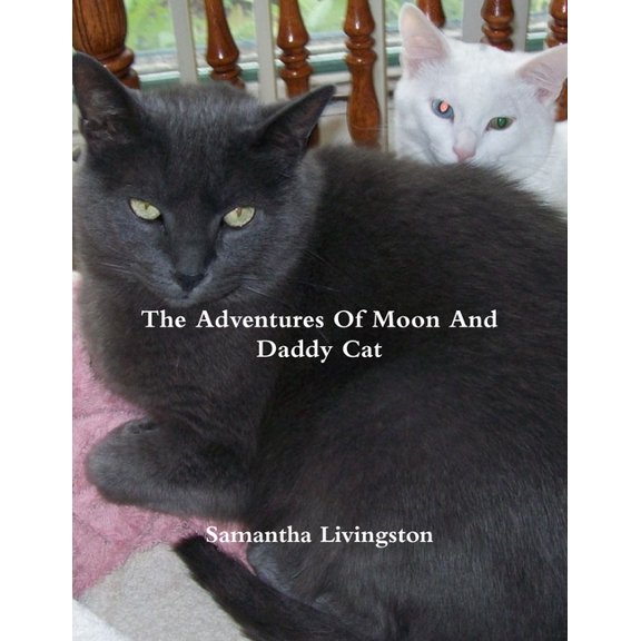 The Adventures Of Moon And Daddy Cat, (Paperback)