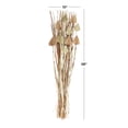 thumbnail image 3 of 58" Dried Plant Natural Foliage Palm Leaf Bouquet with Grass, by DecMode, 3 of 6
