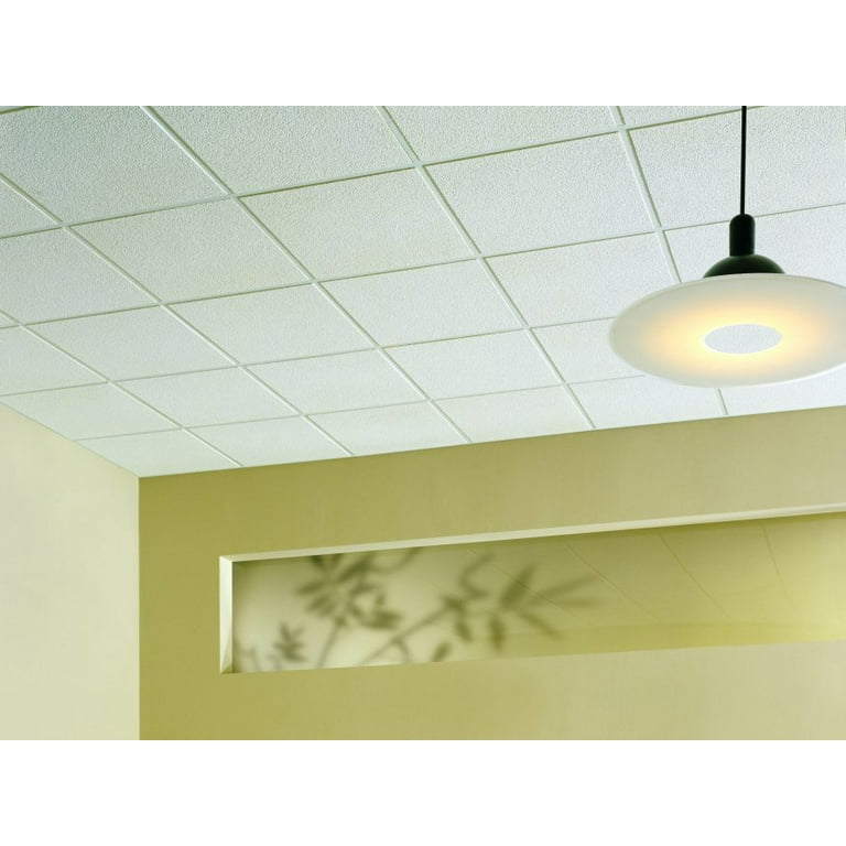 Usg Astro Ceiling Tiles Basic Acoustical Panels Where To