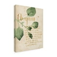 thumbnail image 2 of Trademark Fine Art 'Herb Study III' Canvas Art by Grace Popp, 2 of 4