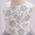 thumbnail image 6 of Gubotare Girls Tulle Dress Toddler Girls Lace Bowknot Dresses Baby Embroidery Gown Dress with Headwear (Grey,Size 6-12 Months), 6 of 8