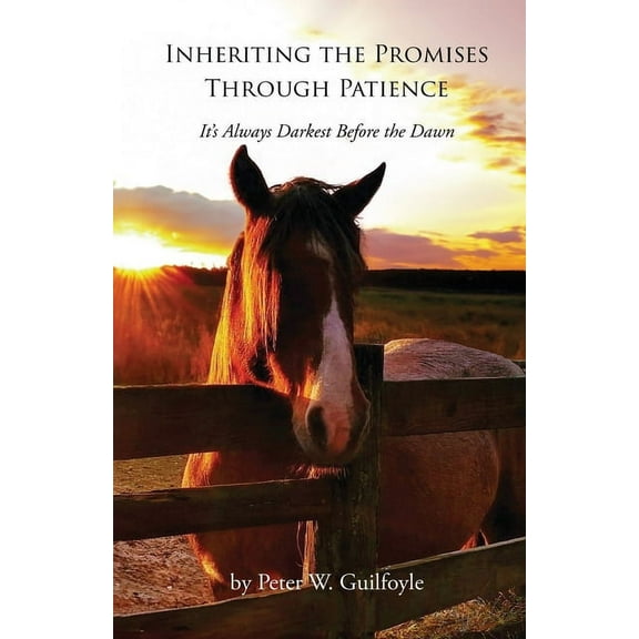 Inheriting the Promises Through Patience: It's Always Darkest Before the Dawn, (Paperback)