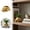 Gold, variant on Tortoise Shaped Planter Resin Plant Pot Cute Succulent Container For Indoor Mini Plants(Gold-11.5X6.5Cm)
