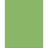 Pacon Plastic Poster Board, 22 x 28 Inches, Lime Green, Pack of 25
