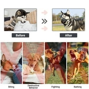 PcEoTllar Dog Muzzle, Soft Leather Muzzle Anti Biting Barking Chewing, Breathable Puppy No Bark Muzzle, Black