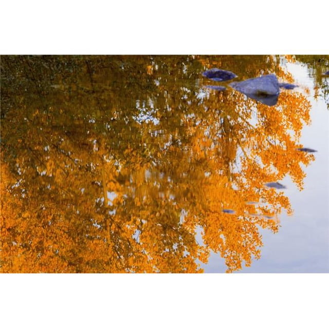 Poster Réflexions d'Automne Imprimé par Carson Ganci&44; 34 x 22 - Grand